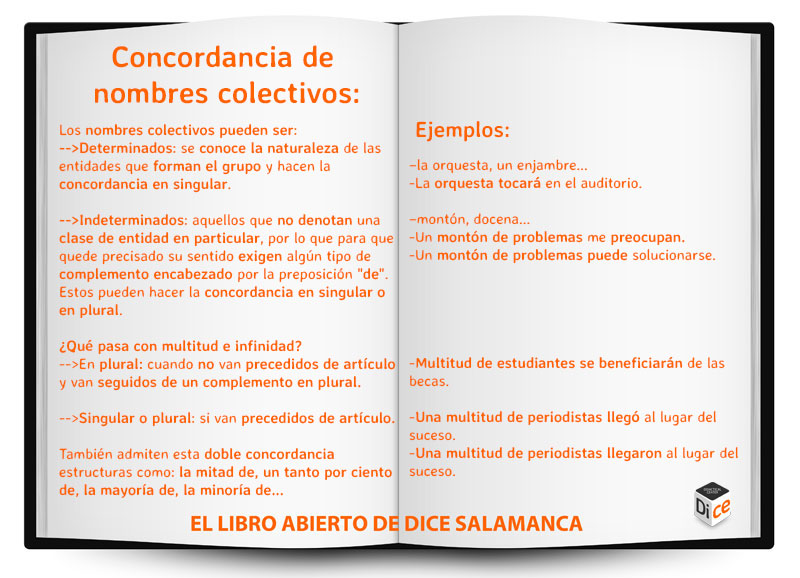 Libro-abierto-de-DICE-CONCORDANCIA-DE-NOMBRES-COLECTIVOS