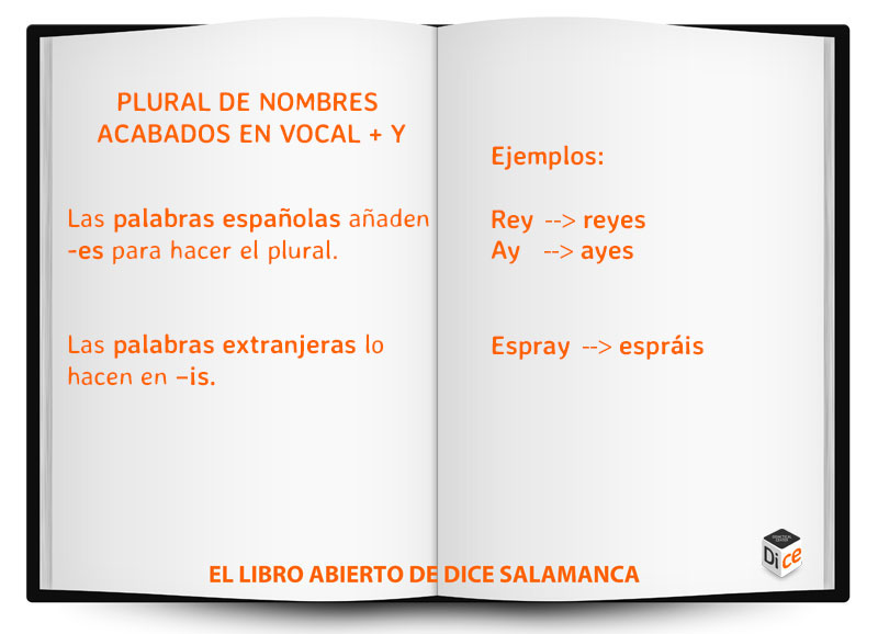 Libro-abierto-de-DICEplural-de-nombres-acabados-en-vocal-+-y