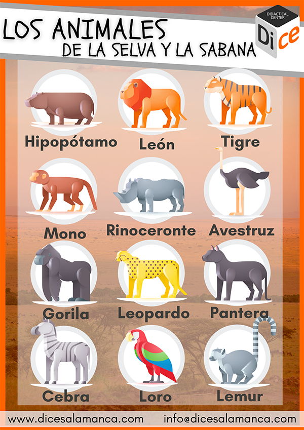 Endulzar Solicitud Permanecer de pié Infografía: 391 animales de la selva y la sabana | DICE Salamanca
