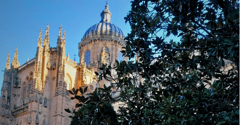 El astronauta de la Catedral de Salamanca