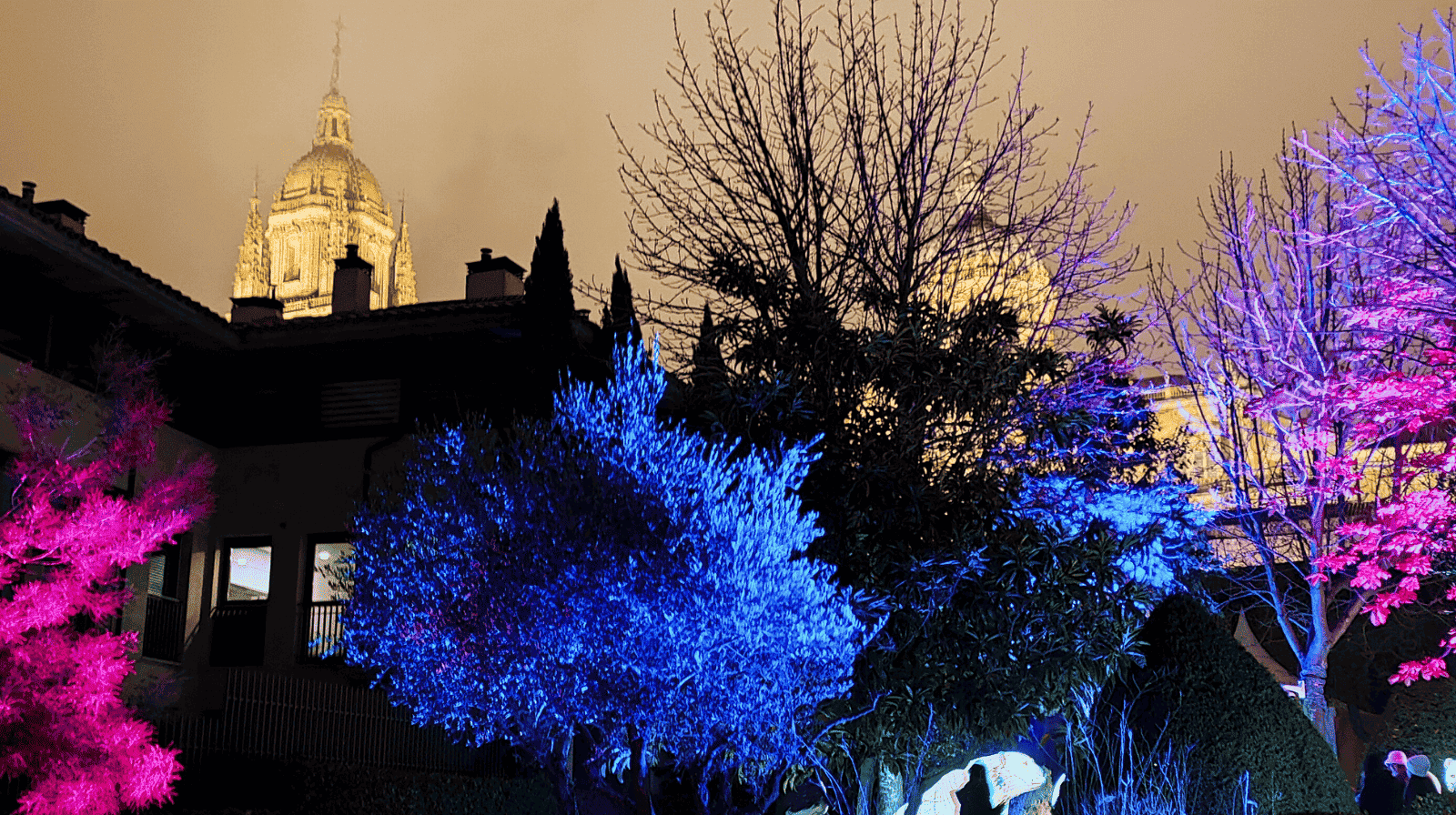 🎄La Navidad en Salamanca 2025