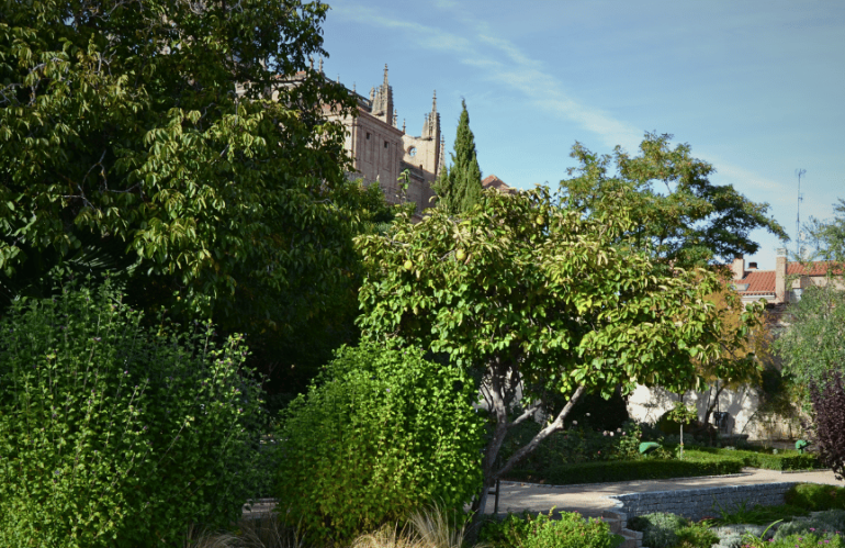 El Huerto de Calixto y Melibea El rincón más romántico de Salamanca