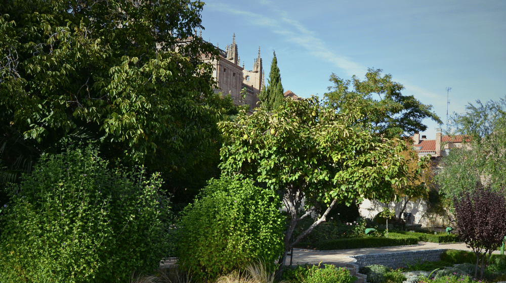 The Garden of Calixto and Melibea